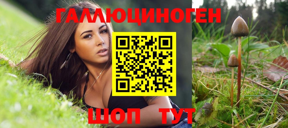 Псилоцибиновые грибы прущие грибы  Вход с VPN  Ногинск 